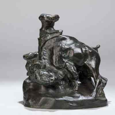 Buffalo Rubbing Rock