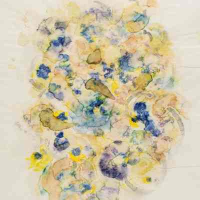Leaf and Flower Prints