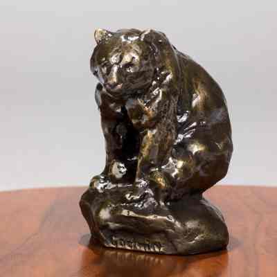 Sitting Bear