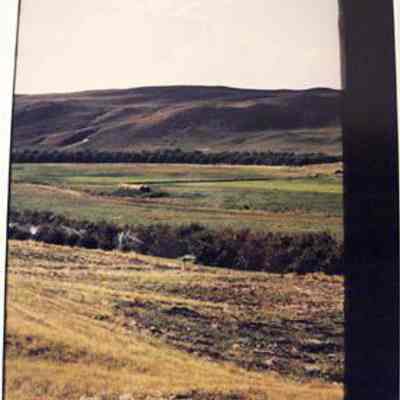 View of the Orchard Y Gravesite, Old Jules Country