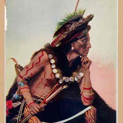 Clear Indian Portrait
