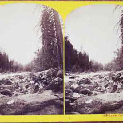 Lower Canyon (#603)