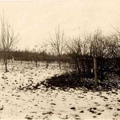 Bailiwick