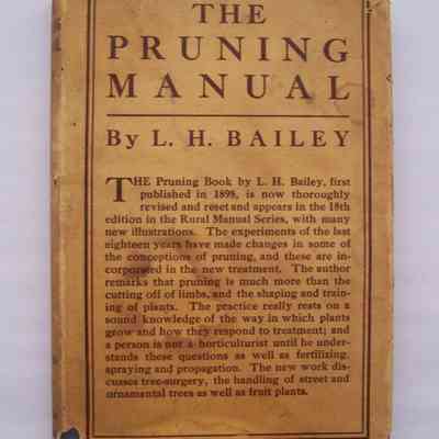 The Pruning-Manual