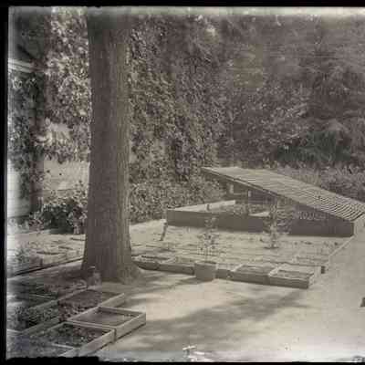 [Luther Burbank House, Greenhouse, 200 Santa Rosa Avenue, Santa Rosa, Sonoma County, CA]