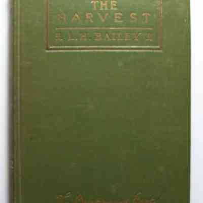 The Harvest: Of the Year to the Tiller of the Soil
