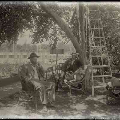 [Portrait of two men- possibly Liberty Hyde Bailey and Luther Burbank]