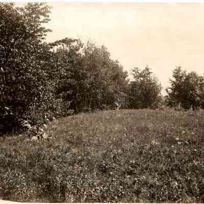 Bailiwick