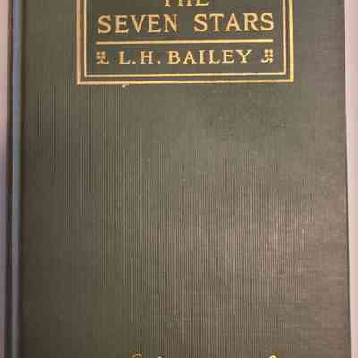 The Seven Stars