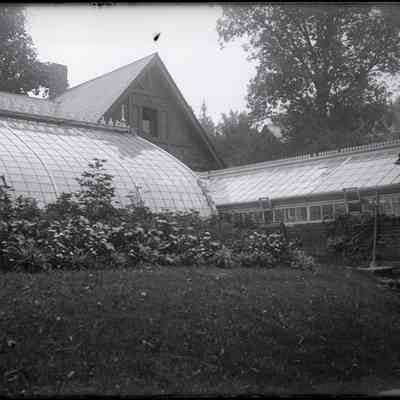 Sage Pl. Greenhouse 1908