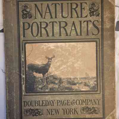 Nature-Portraits: Studies with Pen and Camera of Our Wild Birds, Animals, Fish and Insects