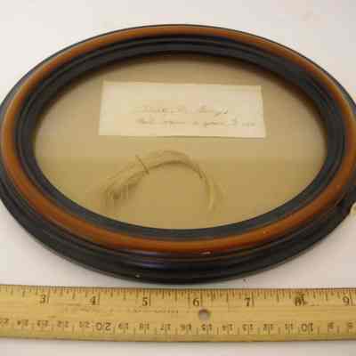 Framed lock of hair- Liberty Hyde Bailey