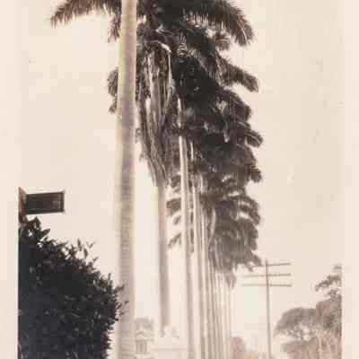 Street scene Port-of-Spain Trinidad