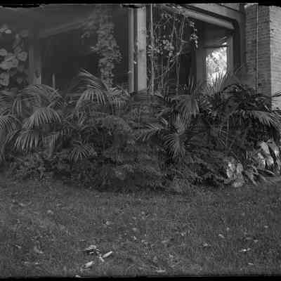 Sage Pl. House [bedding with palms image 2]