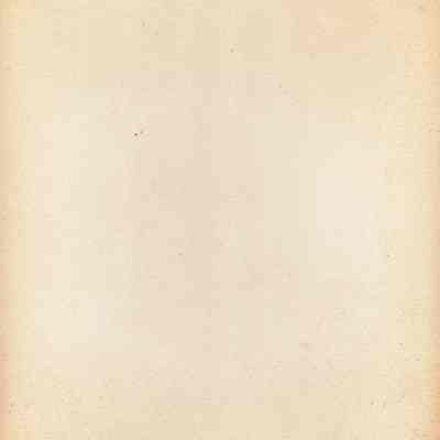 Origformat: Print-Photographic