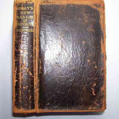Gray's New Manual of Gardening: A Handbook of the Flowering Plants and Ferns of the Central and Northeastern United States and Adjacent Canada