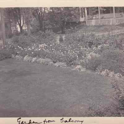 Garden from balcony
