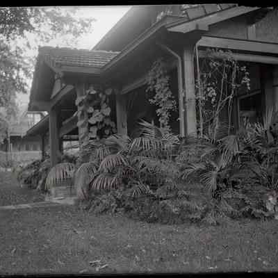 Sage Pl. House [bedding with palms]