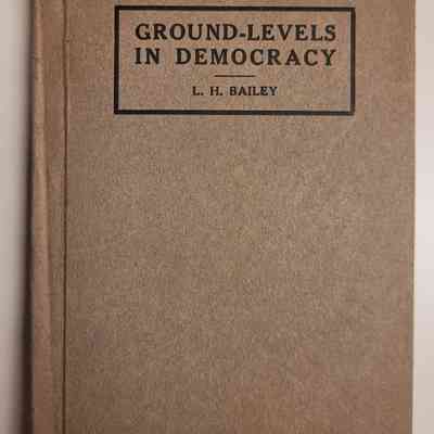 Ground-Levels in Democracy