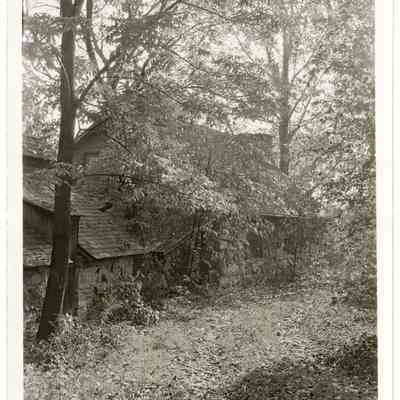 Bailiwick [rear]