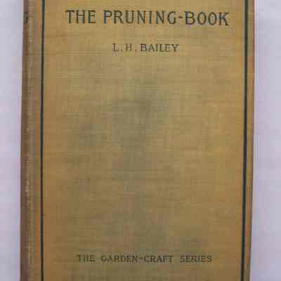 The Pruning-Book