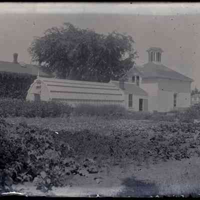 [Luther Burkbank Greenhouse and House]