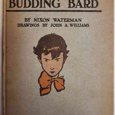 Sonnets of a Budding Bard