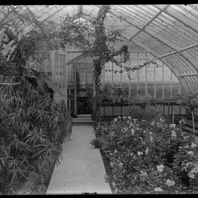 Sage Place Gr. House [interior greenhouse]