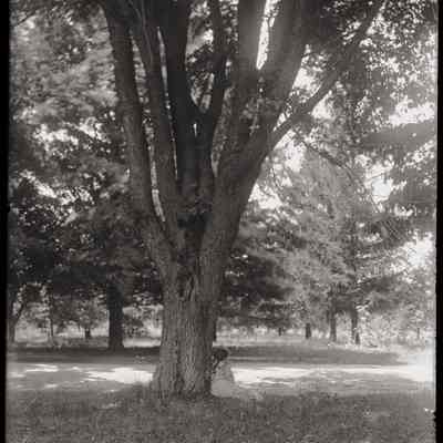 S. Haven Mich. [Bailey homestead front lawn]