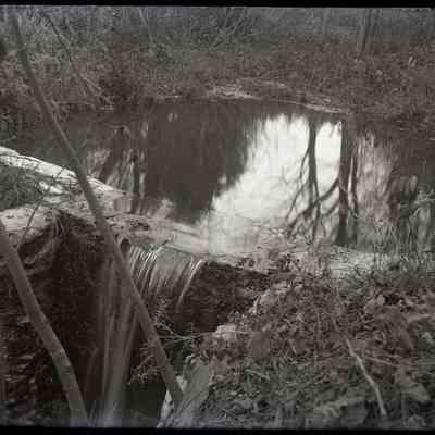[Bailiwick, spring]