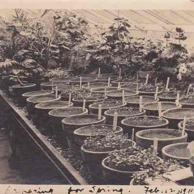 Preparing for Spring. Feb. 12, 1911