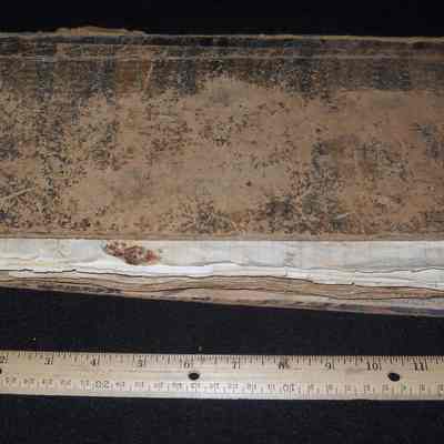Liberty Hyde Bailey Scrapbook