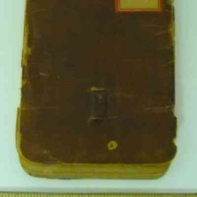 Pocket Diary for 1881