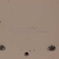 Ballantine Brewing Company - Image 5