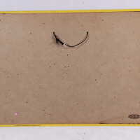 Terre Haute Brewing Company - Camping Series - Image 4