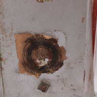 Buckeye Brewing Company - Image 6