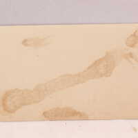 H. Clausen & Son Brewing Company - Image 2