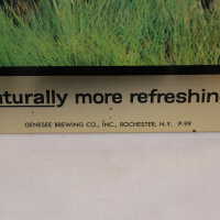 Genesee Brewing Company - Image 2