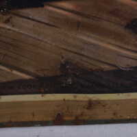 F. W. Cook Brewing Company - Image 3