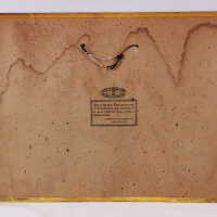 Terre Haute Brewing Company - Camping Series - Image 4