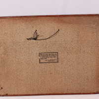 Burger Brewing Company - Image 3