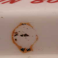 Bavarian Brewing Company - Image 2