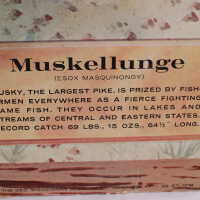 Wiedemann Brewing Company - Image 2