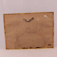 Terre Haute Brewing Company - Camping Series - Image 4