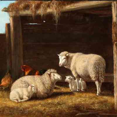 Untitled (Sheep and Chickens) [No date]