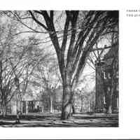 Quadrangle