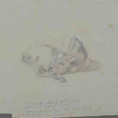 Untitled ("11 O'Clock") [1867]