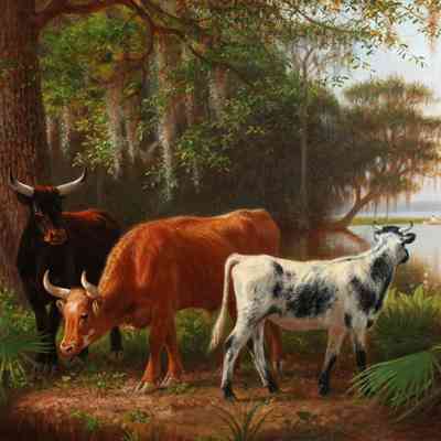 Three Cows at the Mouth of Deep Creek, Florida [After 1867]