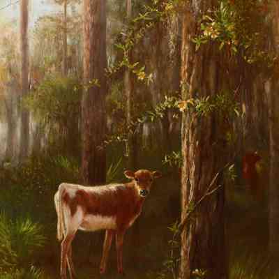 Hidden Calf in the Pinewoods [1895]