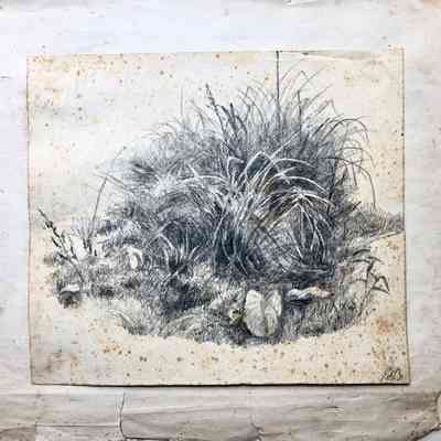 Untitled (Grassy Hill) [1867]